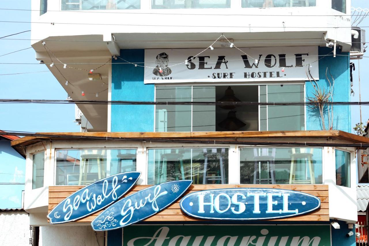 Sea Wolf Surf Hostel Florianópolis Eksteriør bilde